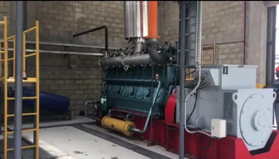 300 Series 1000kw Low Speed Syngas Gas Generator Set Pyrolysis Syngas